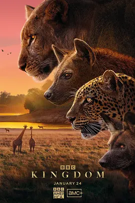 ��������2025